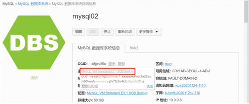 全面掌握甲骨文云 OCI MySQL 服務(wù) 從自動(dòng)運(yùn)維到高效管理的數(shù)據(jù)庫管理及咨詢實(shí)戰(zhàn)指南